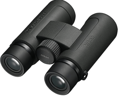 Best Binoculars for Hunting