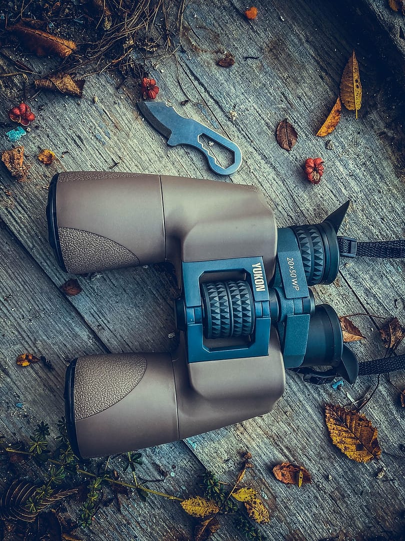 Best Binoculars for Hunting